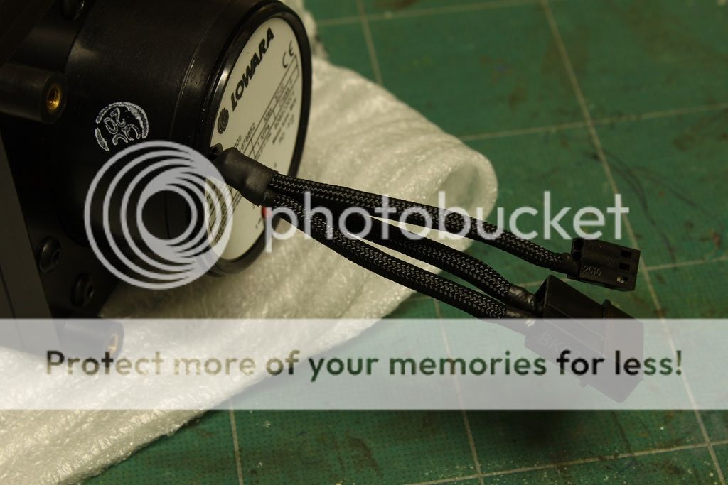 IMG_5914_zpscdgeybdd.jpg~original