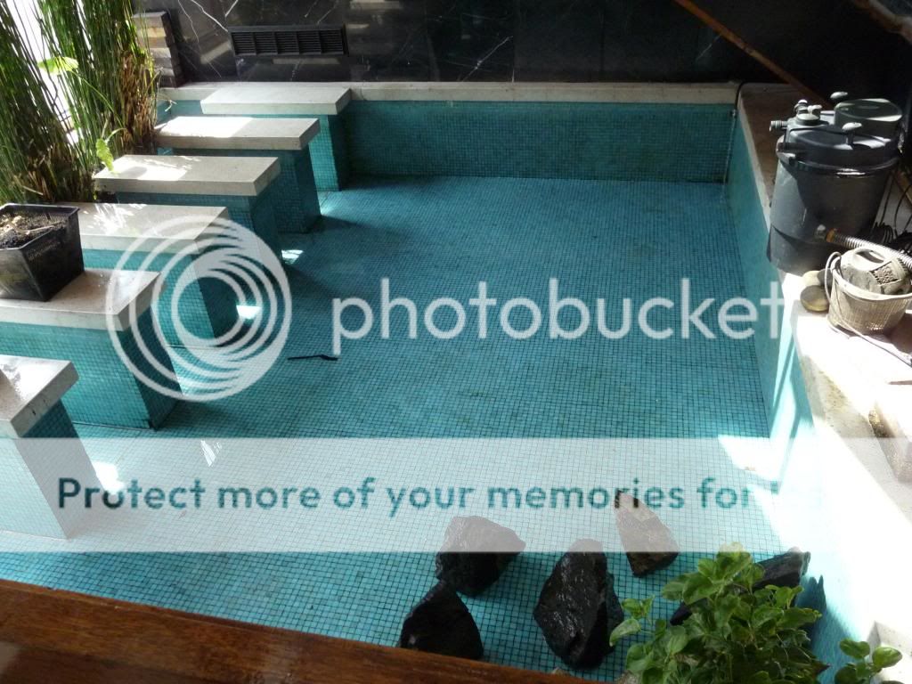 Resized Image