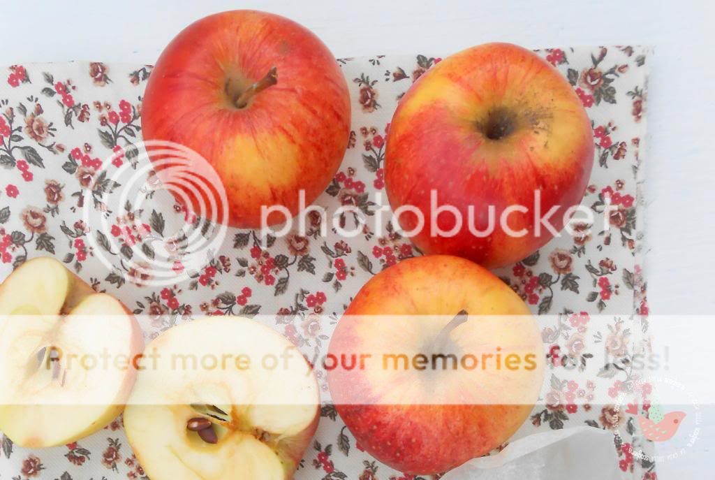 photo crostataallolioconlemele3_zps87a9cad8.jpg
