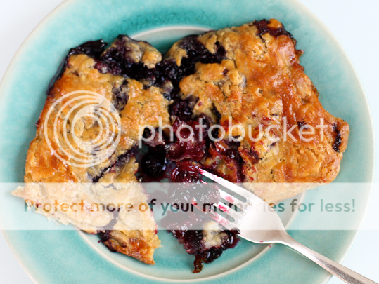 photo Blueberry-Hand-Pies-recipe-bon-appetit_zps87f6d224.png