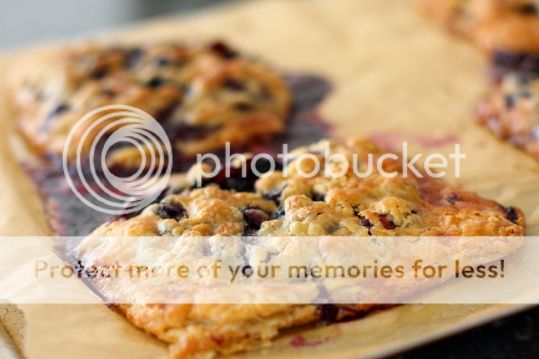 photo Blueberry-hand-pie_zps36424b91.jpg