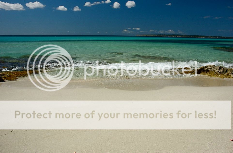  photo B1_zps27b3290f.jpg