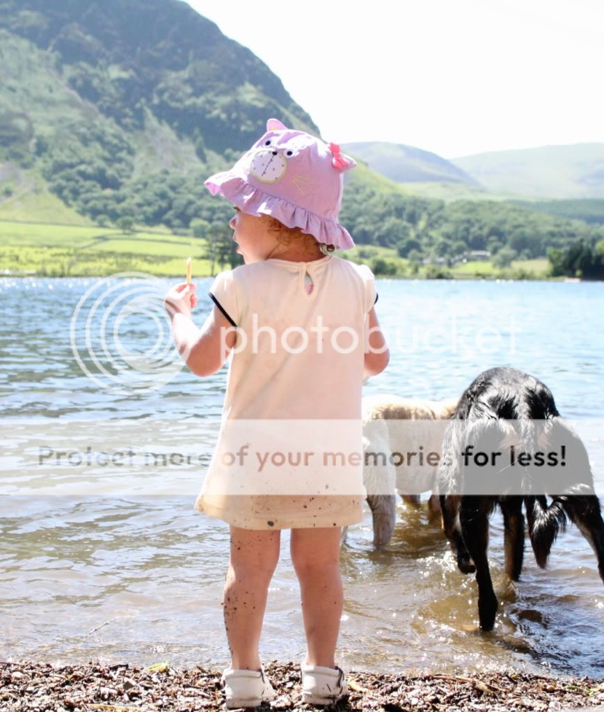 e9016ff679da3d37cbdad648e080807b_zpsfe33