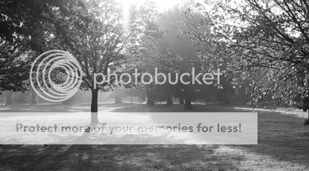 [Image: tentquarantine.png]